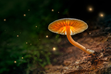 Glowing mushrooms and fireflies in magical forest at dusk