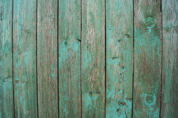 Fototapeta na wymiar Beautiful wooden green background for design, banner and layout.
