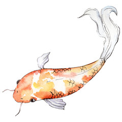 Isolated goldfish illustration element. Watercolor set. Aquarelle elements for background, texture, wrapper pattern.