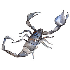 Exotic scorpion wild insect in a watercolor style isolated. Background illustration set.