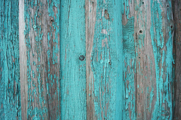 Obraz premium Beautiful wooden green, blue, turquoise, mint background for design, banner and layout. 