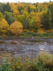 Fall in Quebec
