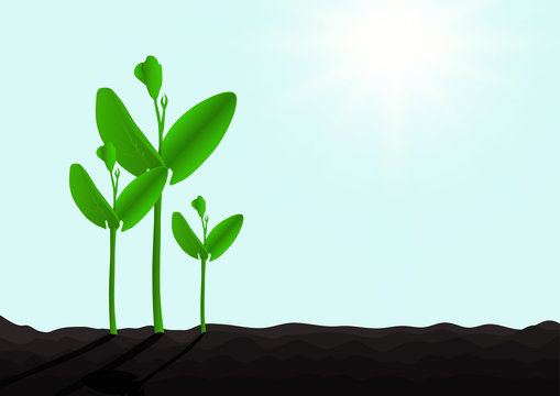 Growing green sprout from soil with sunlight, environmental concept vector illustration