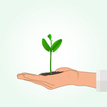 Hand holding green sprout, environmental concept vector illustration