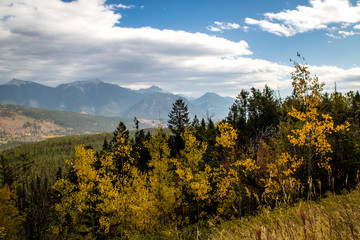 Fall colours on full display from the Kootney Valley lookout, Kootney National Park, British Columbia, Canada