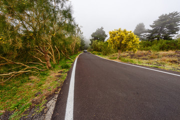 The road to Etna through the fog with car