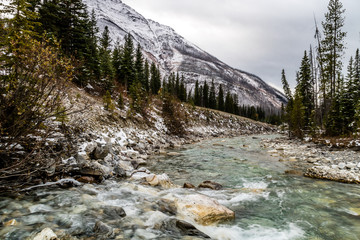 Tokkum Creek flows through Marble Canyon, Kootney National Park, British Columbia, Canada