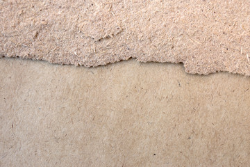 Craft plywood texture. Close up kraft background.