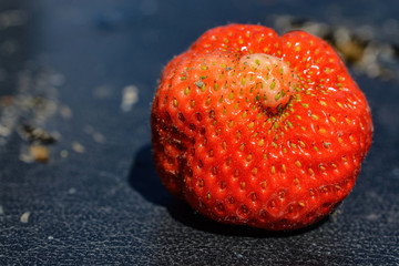 strawberry closeup on dark background