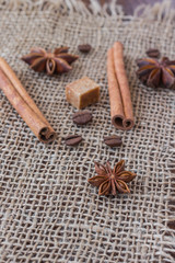 Star anise, cinnamon sticks, sugar cube and coffee grains on sackcloth