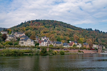 Fototapeta na wymiar Herbst am Neckarufer in Heidelberg, Baden-Württemberg, Deutschland 