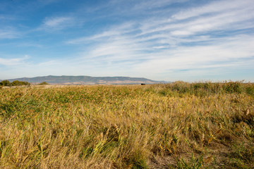 Landscape on daimiel tables with blue sky