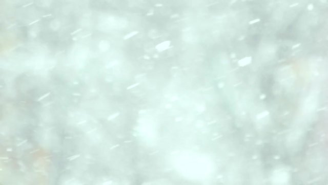 Snow falling close up. Slow motion snow particles falling down on blurred background. Snowy winter weather.
