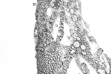 the water is dancing