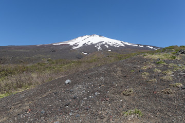 Top of Mt.Fuji with snow and Mt.Fuji natural recreation forest trail in spring