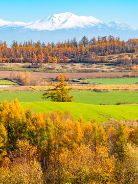 刈り取る Images – Browse 166 Stock Photos, Vectors, and Video | Adobe Stock