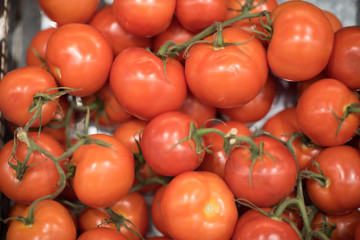 Red tomatoes food background, food closeup