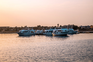 Fototapeta premium Yachts docked in the seaport at sunset.