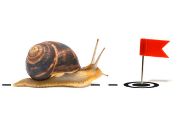 The snail runs to the goal in the form of a red flag. Concept of achieving the goal