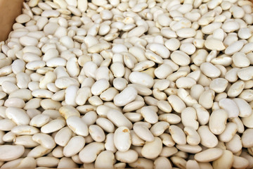 Haricot.Common Bean. Raw white beans. 