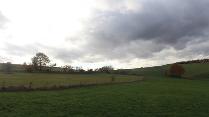 Herbstliche Stimmung 03