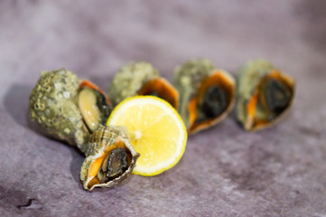 Rapana Clam with peeled meat in shells shell