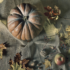 still life with pumpkin