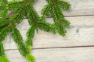 Christmas pine tree branches on wooden board.