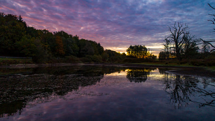 Luftaufnahme Morgenstimmung am See