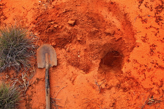 Field work in the sand