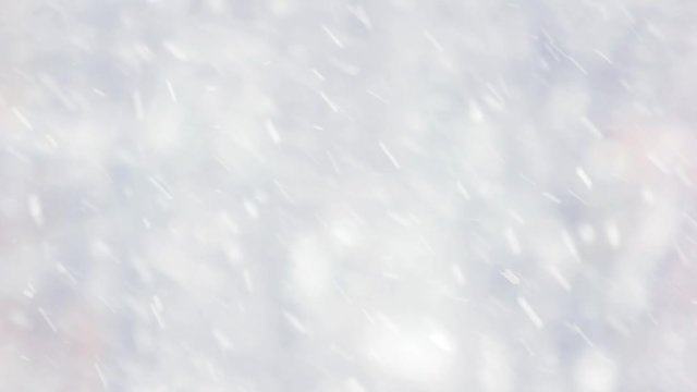 Winter forest blur background. Close up of slanting snow falling on blurred backdrop. Falling snow wallpaper.