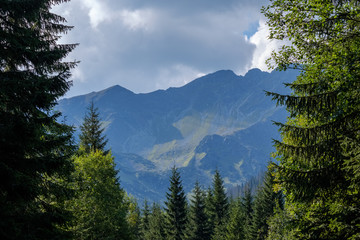 mountain top panorama in  autumn covered in mist or clouds