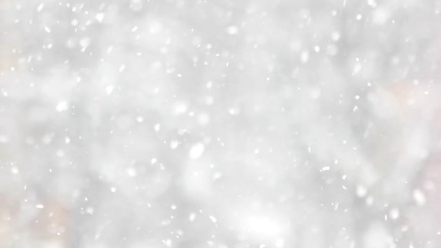 Snowfall on the background of blurred forest. Slow motion snow falling down against blurred background. Winter holidays season.