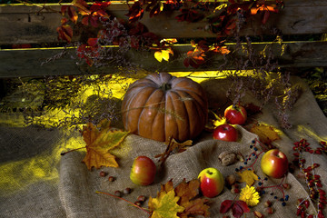 still life with pumpkin