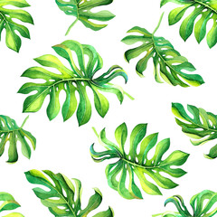 Seamless tropical natural pattern with green monstera leaves isolated on white background. Watercolor exotic texture with foliage for decoration, wallpaper, fabric print, postcard, wrapping paper