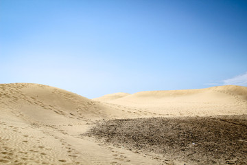 Fototapeta na wymiar Wüste, Dünen, Maspalomas, Sträucher, Absperrung, und Gitter