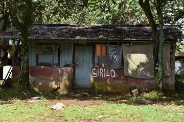 Simple Hut in the Jungle 