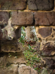 Through the hole in the wall