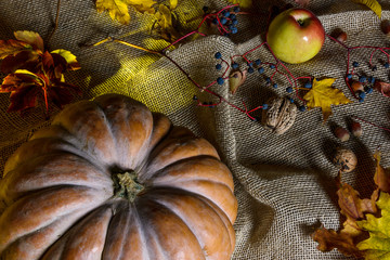 still life with pumpkin