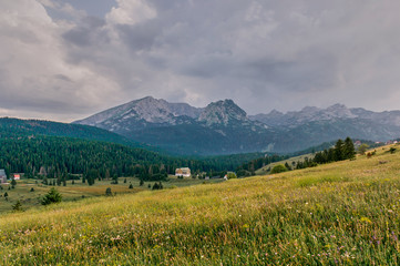 The alpine meadows. High mountains.