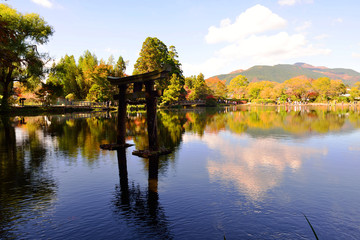 Fototapeta premium 由布院の紅葉