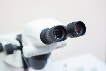 scientist working at the laboratory