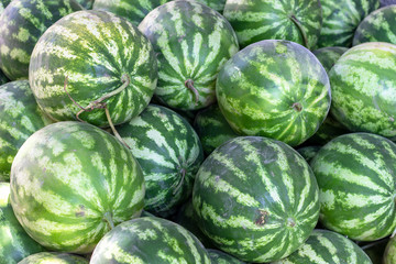 Close-up shoot of turkish traditional watermelon under clean light