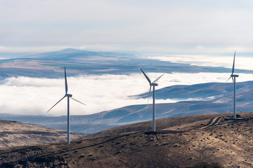 Wind turbines on a hill top, in a dry landscape with fog in the lowlands and rolling hills © knelson20