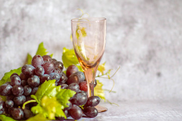 A bunch of ripe red grapes with a vine and an empty glass isolated on a gray background