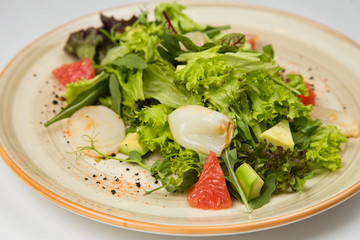 Squid salad and fresh vegetables on a plate on white background