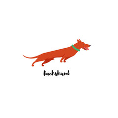 Vector illustration. Funny cartoon style icon of dachshund with text for different design. Cute family dog.