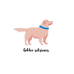 Vector illustration. Funny cartoon style icon of golden retriever with text for different design. Cute family dog.
