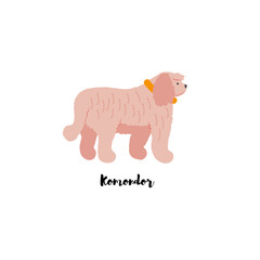 Vector illustration. Funny cartoon style icon of komondor with text for different design. Cute hungarian sheepdog.