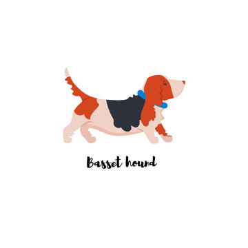 Vector illustration. Funny cartoon style icon of basset hound with text for different design. Cute family dog.